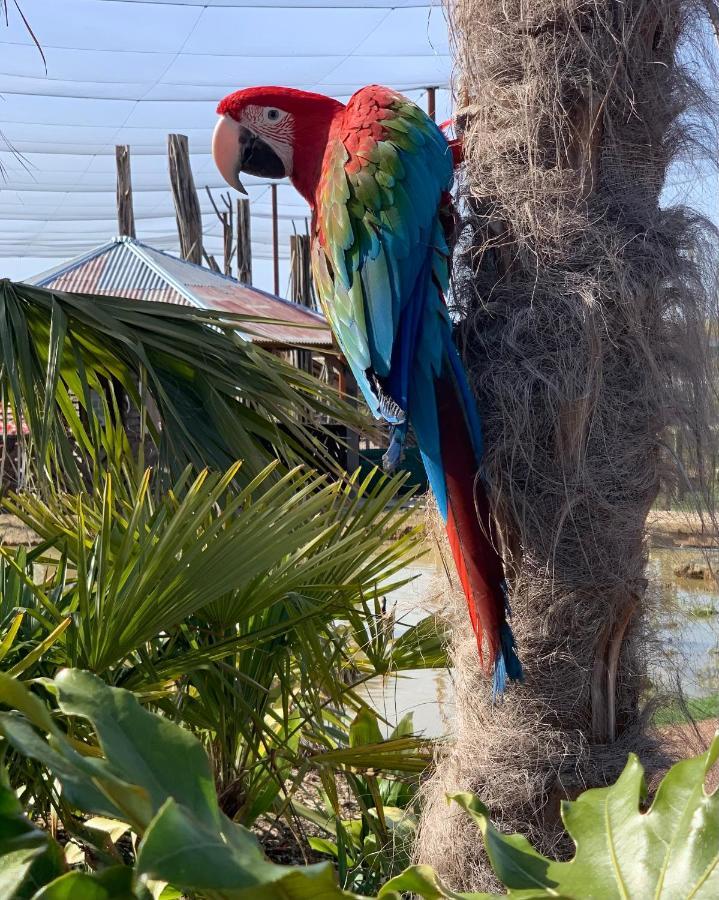 Parrot World - Les Lodges Crecy-la-Chapelle Bagian luar foto