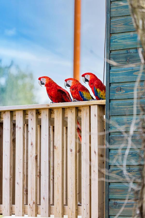 Parrot World - Les Lodges Crecy-la-Chapelle Bagian luar foto