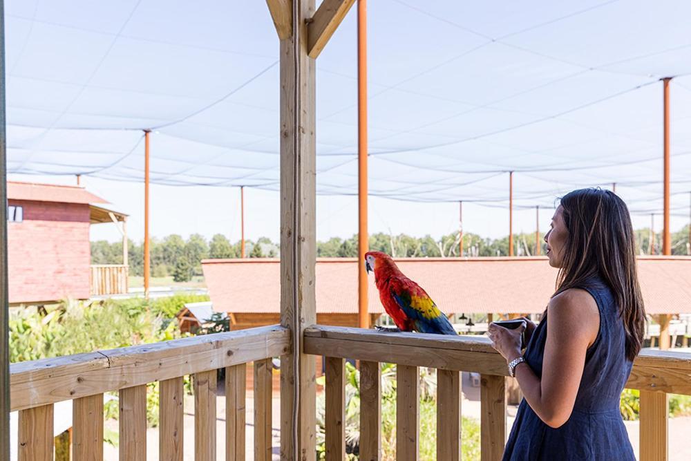 Parrot World - Les Lodges Crecy-la-Chapelle Bagian luar foto